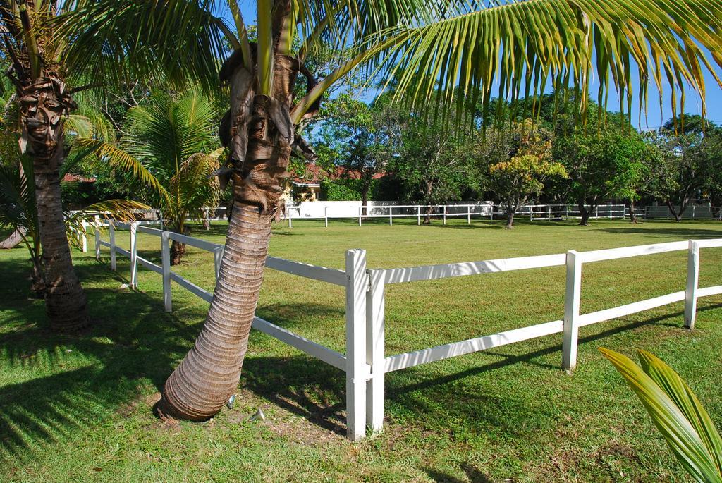 La Finca Miami Exterior foto